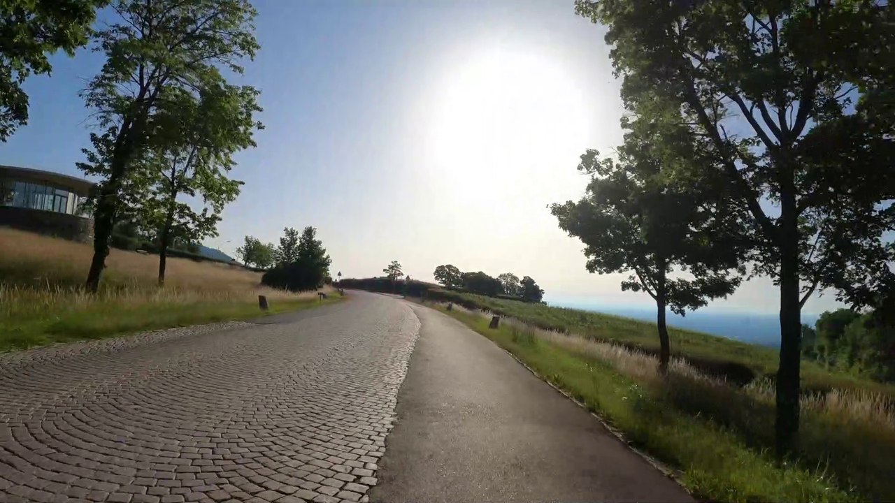 Morgenstille Höhenstraße zum Cobenzl (Wien)