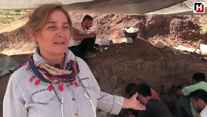 Omurgalı Fosil Lokalitesi"nden bu yıl 140 fosil çıktı