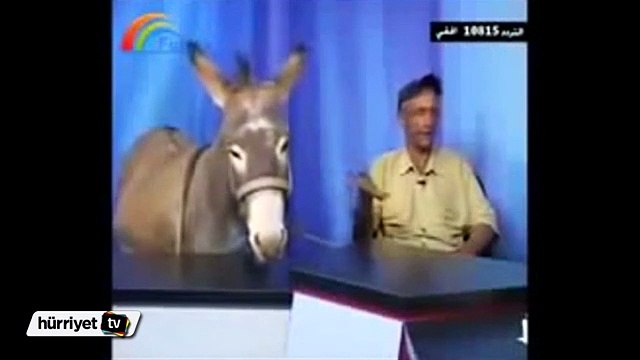 Protesto için canlı yayına eşek çıkarıp röportaj yaptı