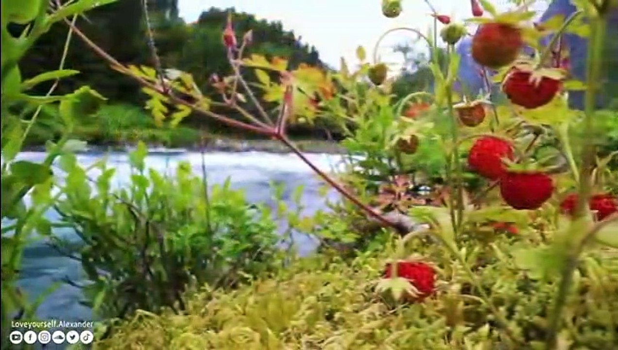 Printemps • Belle musique relaxante interprétée par flûte, violoncelle, guitare et piano