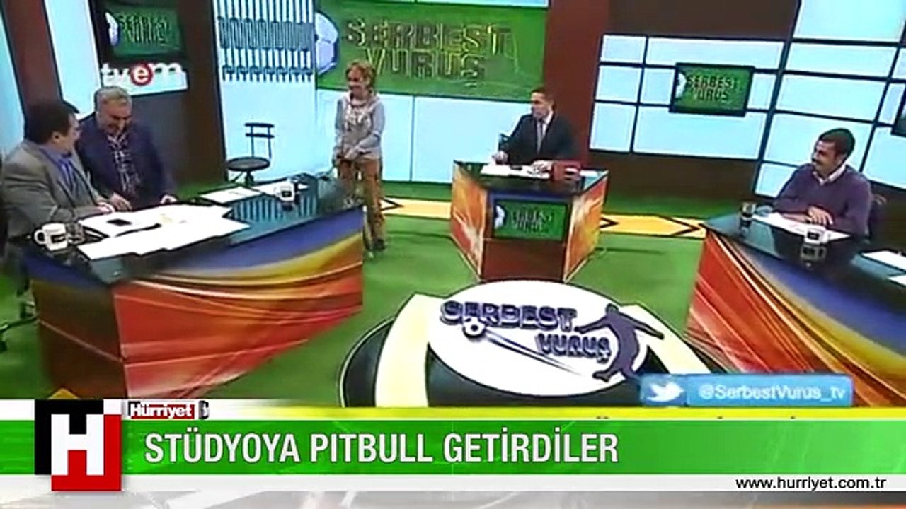 CANLI YAYINDA PITBULL ŞOKU