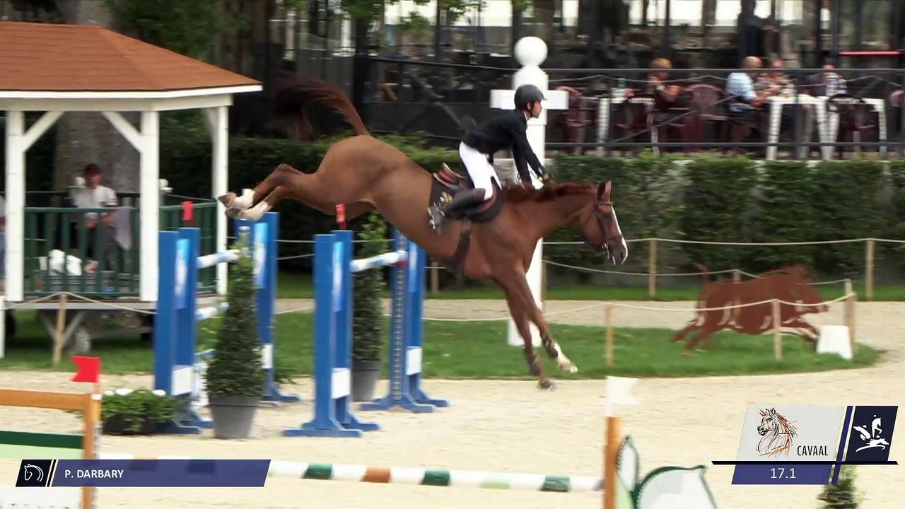 Grand National FFE - AC Print - CSO  | Compiègne (FRA) | Pierre Louis DARBARY | VANILLE DE LAUNAY