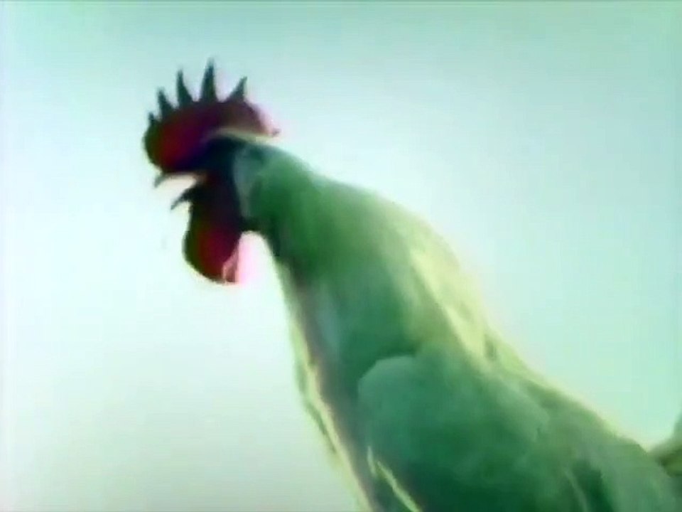 1978年　ラーマゴールデンソフト　CM