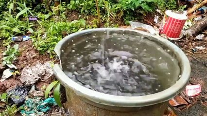 tiba tiba turun hujan deras di pedesaan lezat sekali menikmati makanan tradisional yang hampir punah