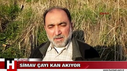 SİMAV ÇAYI'NDA DEHŞETE DÜŞÜREN GÖRÜNTÜ