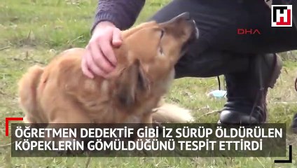 Öğretmen dedektif gibi iz sürdü, vahşeti ortaya çıkardı