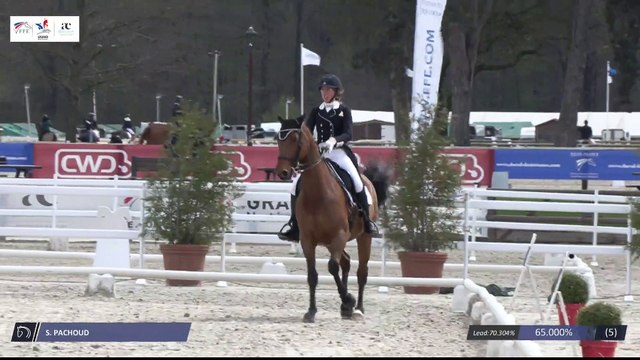 Grand National FFE - AC Print - Dressage | Haras de Jardy (FRA) | Severine PACHOUD | DESPERADO