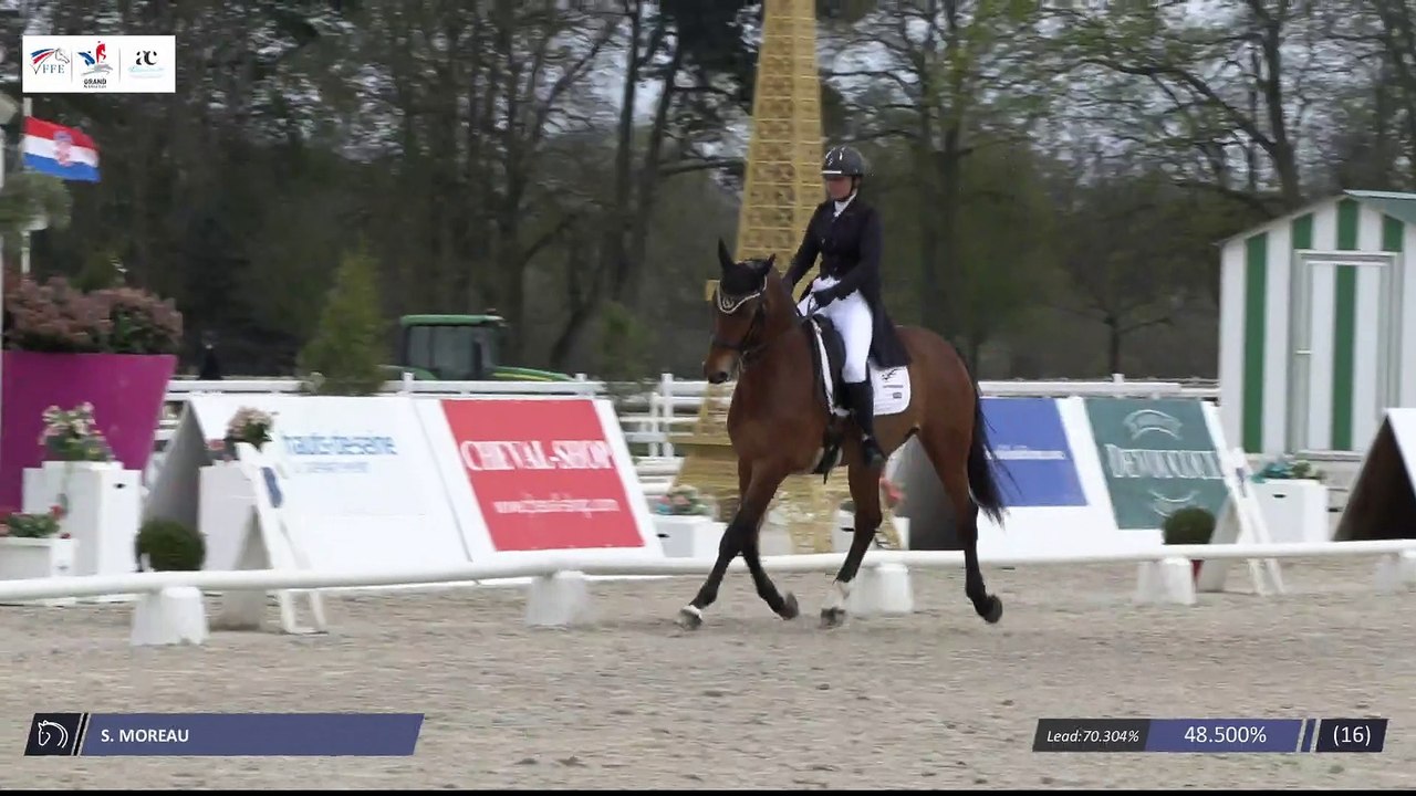 Grand National FFE - AC Print - Dressage  | Har...