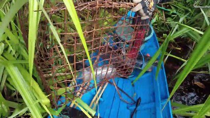 _JANGAN SAMPAI IKAN INI MAKAN PANCING KITA _ ... HANCURR ... ...