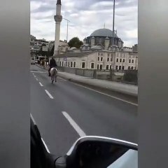Unkapanı Köprüsü'nden atla geçen kişi gündem oldu