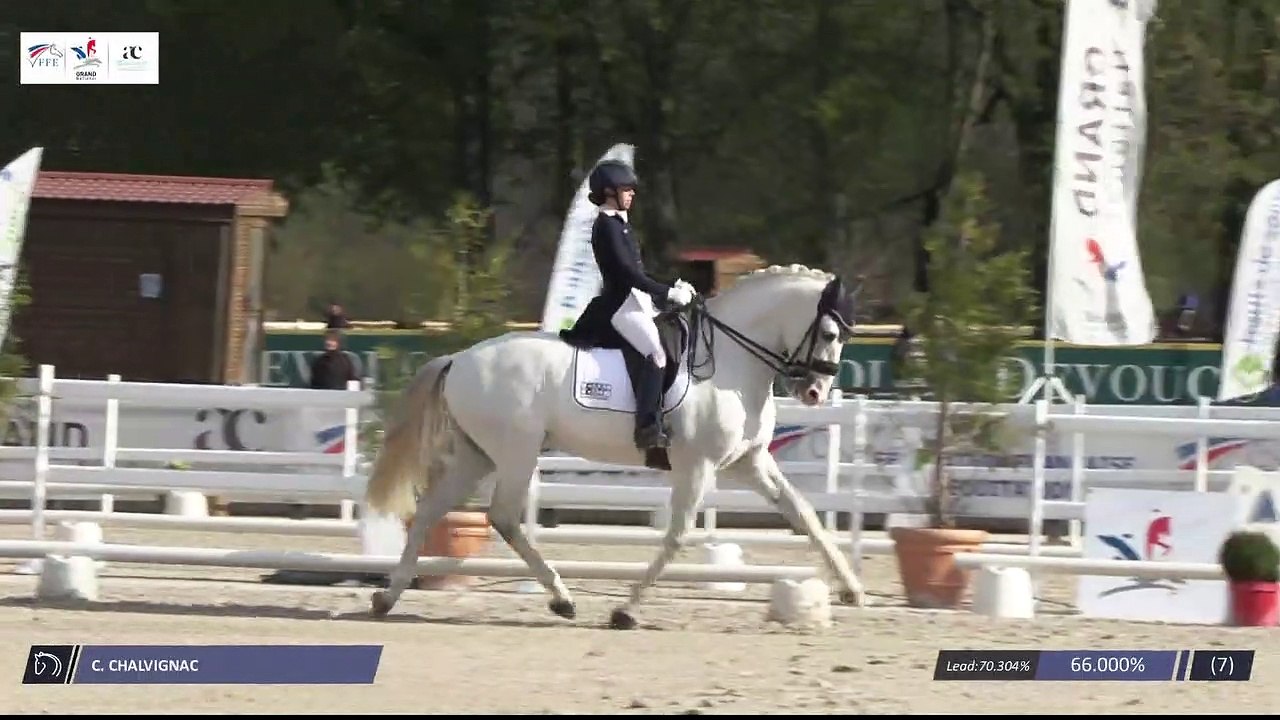 Grand National FFE - AC Print - Dressage  | Har...