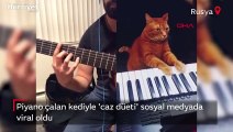 Piyano çalan kediyle 'caz düeti' sosyal medyada viral oldu