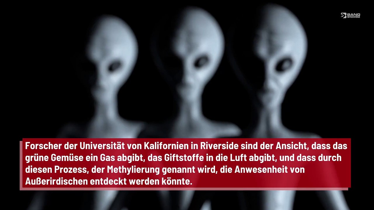 Brokkoli soll bei der Suche nach Außerirdischen helfen