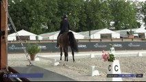 Grand National FFE - AC Print - Dressage | Mâcon Chaîntré (FRA) | Camille DOLLE | DARTAGNAN DE HUS