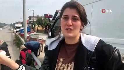 Tırın ezdiği köpek telef oldu: Mahalle sakinleri gözyaşlarını tutamadı