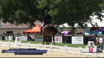 Master Pro | Dressage | Vierzon (FRA) | Audrey BLAU | FIDJI