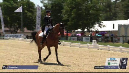 Master Pro | Dressage | Vierzon (FRA) | Severine PACHOUD | DESPERADO