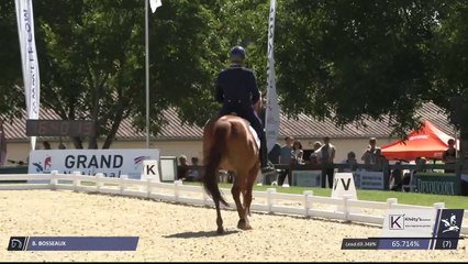 Master Pro | Dressage | Vierzon (FRA) | Bernard BOSSEAUX | RILKADORA Z