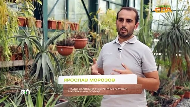 Живая еда (15.10.2022)