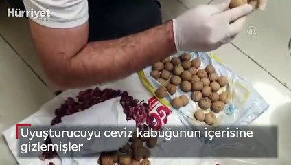Uyuşturucuyu ceviz kabuğunun içerisine gizlemişler