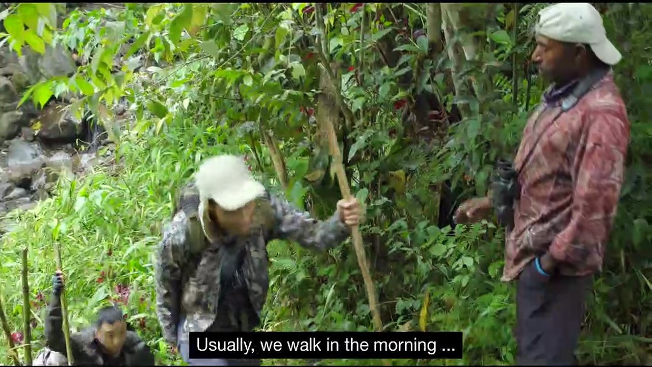 Papua Land in Indonesia -  A Paradise for Birds
