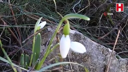 Kardelenlere zarar verenlere 73 bin 747 TL para cezası