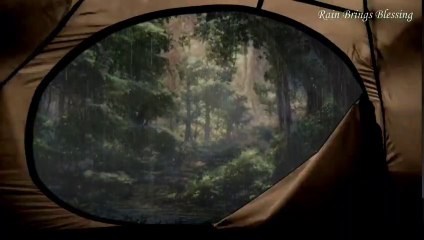 Gentle Rain Sounds In The Tent To Sleep, Soft And Comfortable Rain To Accompany Sleep Or Study