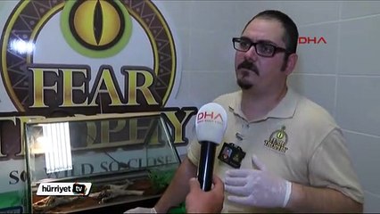 Çift başlı yılan heyecan yarattı
