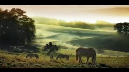 Romantic, Cozy and Peaceful Relaxation Music