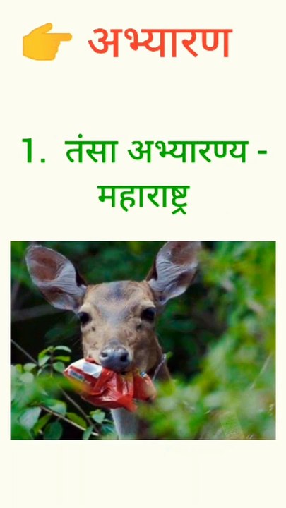 Gk in Hindi no-4