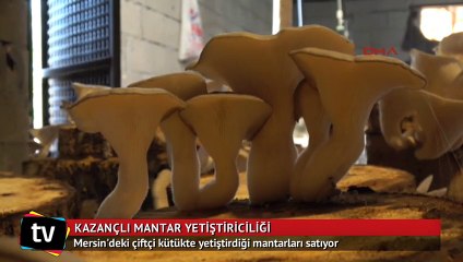 Mersin'deki çiftçi mantar yetiştirip kazancını katladı