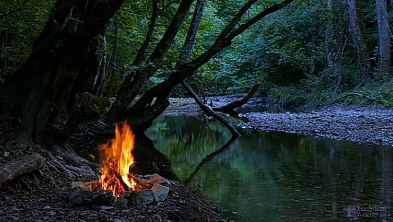 Camp
