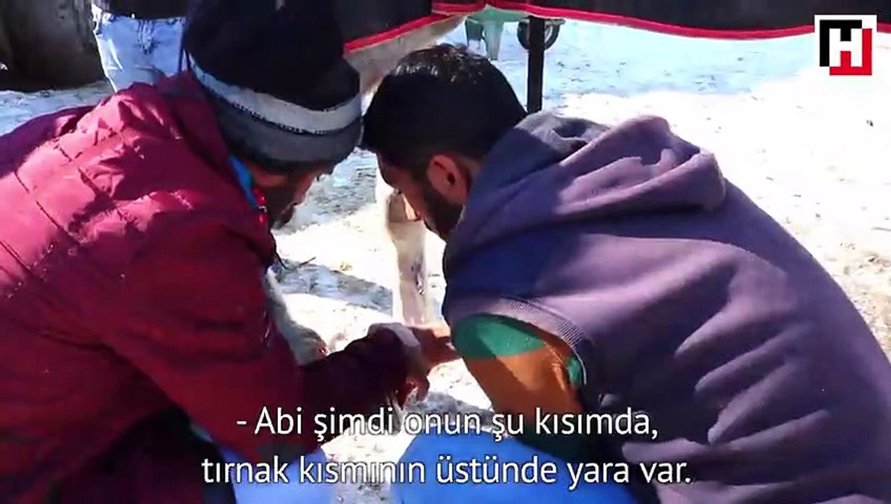 CİRİT