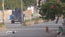 Cizre’de güvenlik güçlerine PKK’dan bombalı tuzak: 5 yaralı