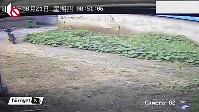 Köpeği yere vura vura katletti