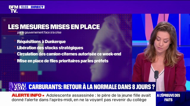 LA VÉRIF - Carburants: un retour à la normale dans 8 jours ?
