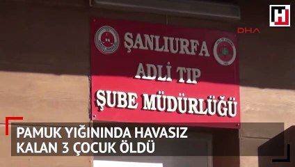 Şanlıurfa'dan kahreden haber