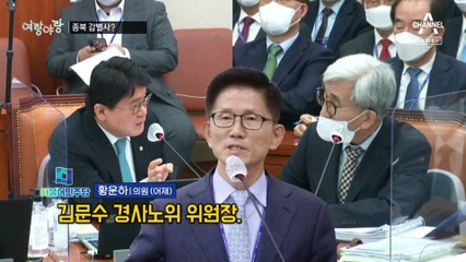 [여랑야랑]종북 감별사? / 부채질