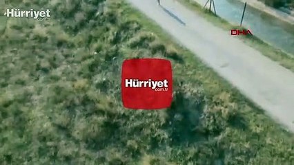 İlk defa gördüğü drone'dan böyle kaçmaya çalıştı