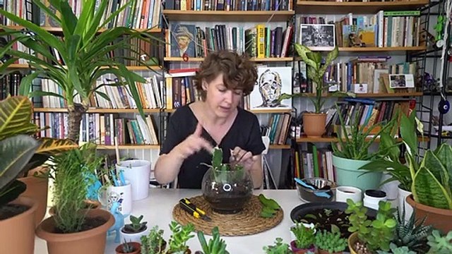 Kaktüs yavrusu nasıl ayrılır?