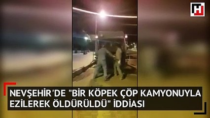 Nevşehir'de bir köpek çöp kamyonunda ezildi iddiası