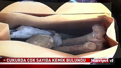 ÇUKURDA ÇOK SAYIDA KEMİK BULUNDU