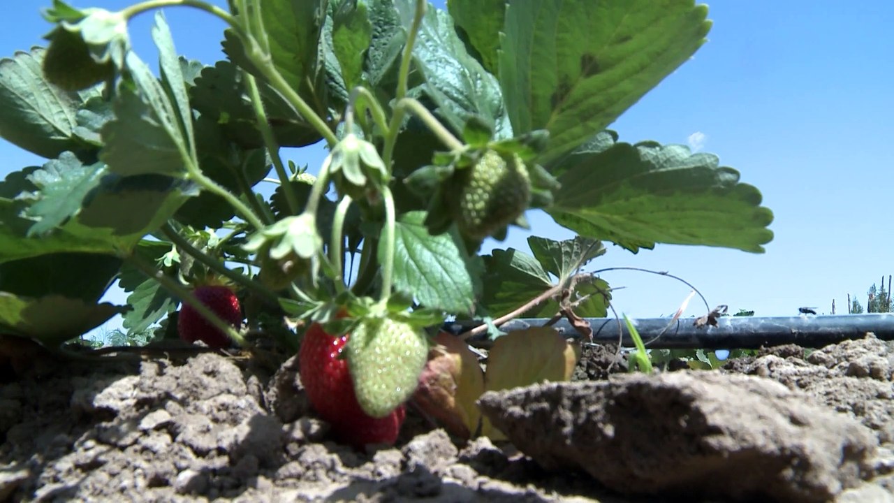 Fademur Extremadura reclama un Estatuto de las Mujeres Rurales y mayor empoderamiento