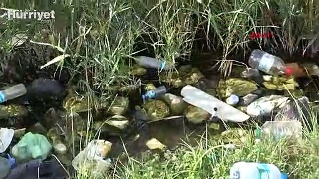 İtalyan Koyu tatilcilerin geride bıraktığı atıklarla çöplüğe döndü