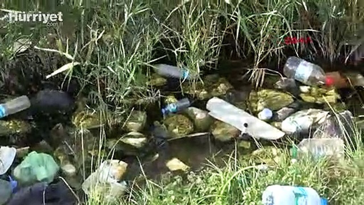 İtalyan Koyu tatilcilerin geride bıraktığı atıklarla çöplüğe döndü