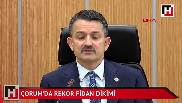 Çorum'da rekor fidan dikimi