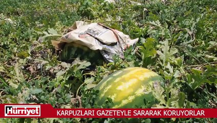 Çareyi böyle buldu! Şaşırtan görüntü