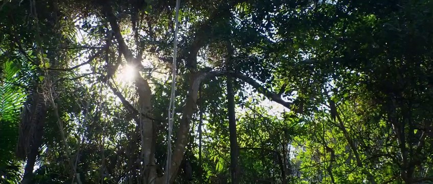 Black Water : Abyss Bande-annonce (EN)