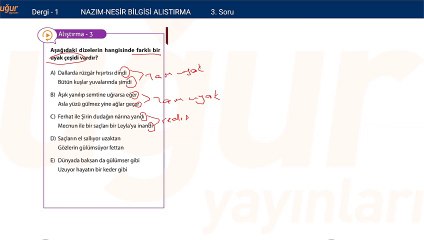 Türk Edebiyatı-Nazım Nesir Bilgisi Alıştırmalar Soru:3