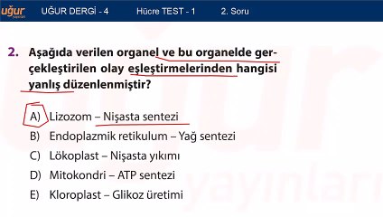 Biyoloji - Hücre Test 1 Soru: 2